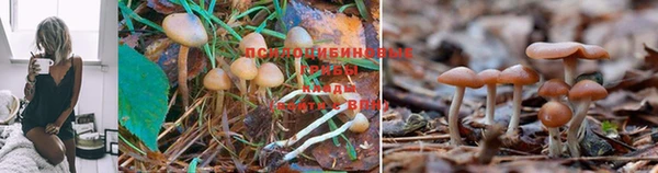 МДМА Балабаново